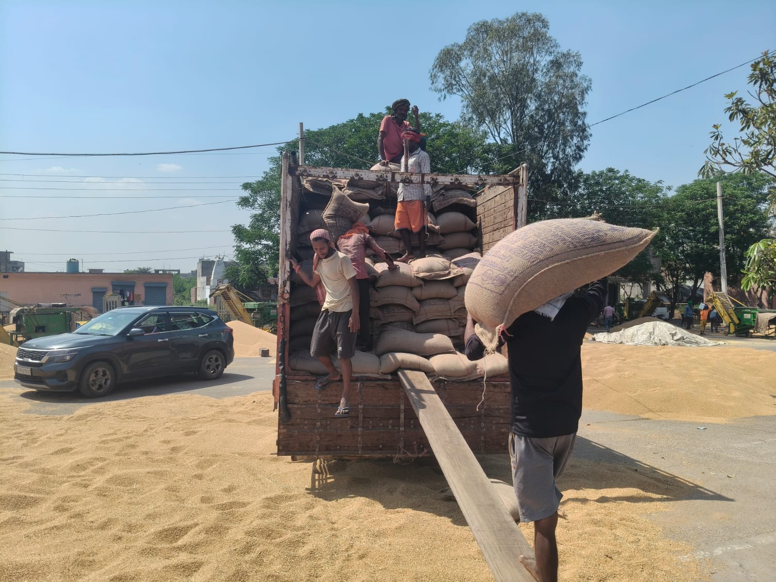 Wheat procurement operations going on smoothly in the district mandis - DC Komal Mittal